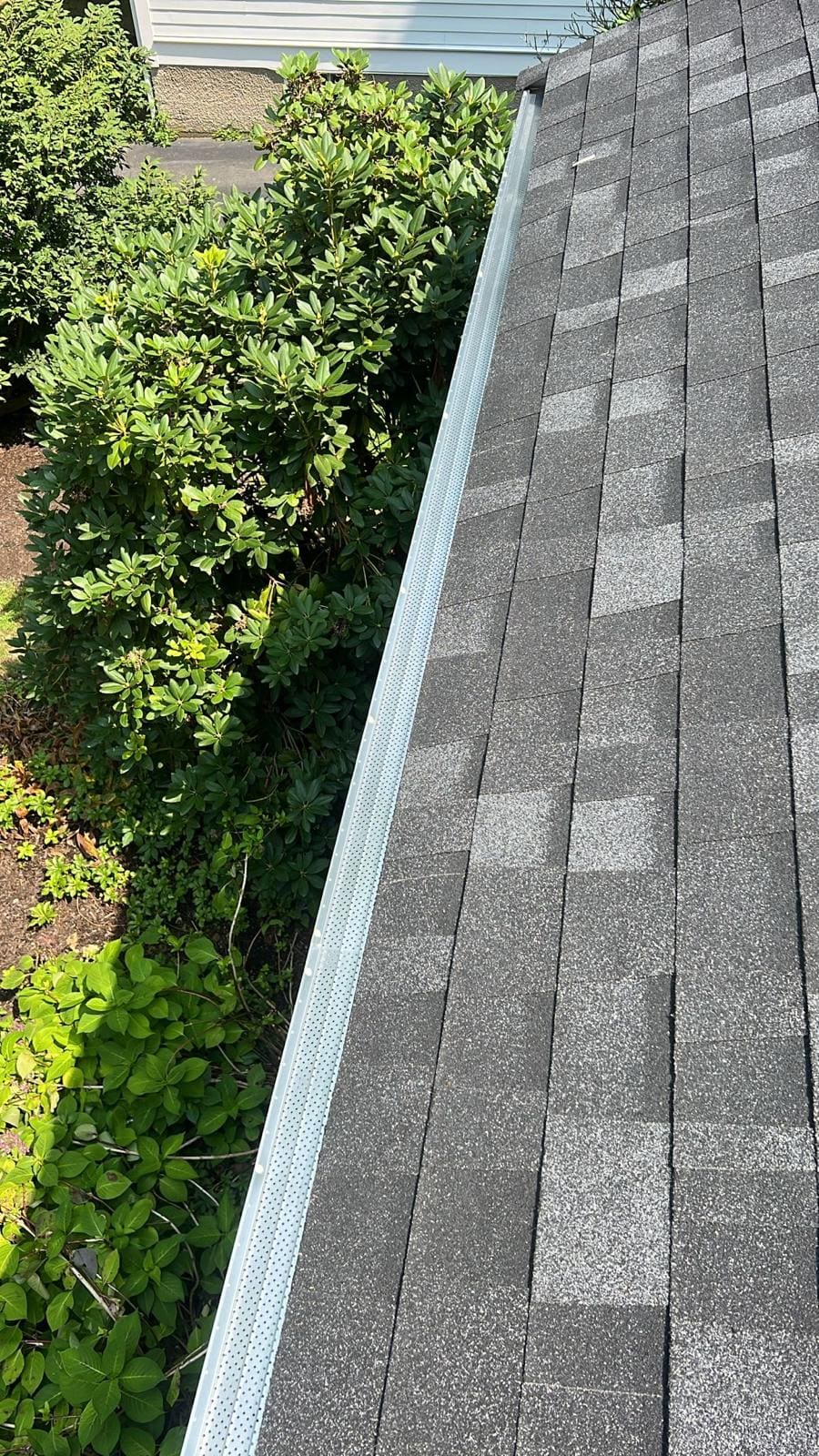 Close view of leaf guard on a gutter where the roof edge meets planting